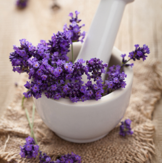 fresh lavender in mortar 2021 08 26 16 57 41 utc 1